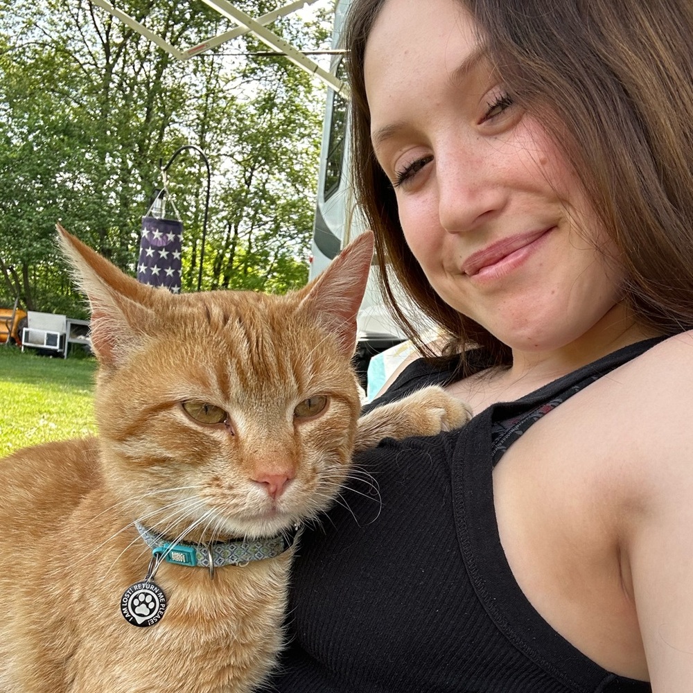 Meet your Posher, Lexis